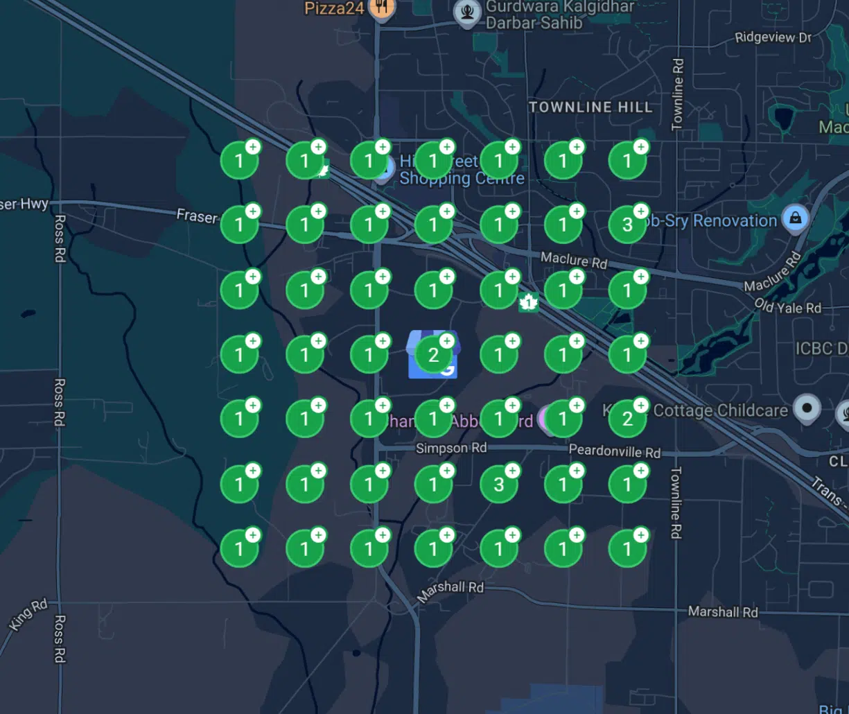 local-seo-grid
